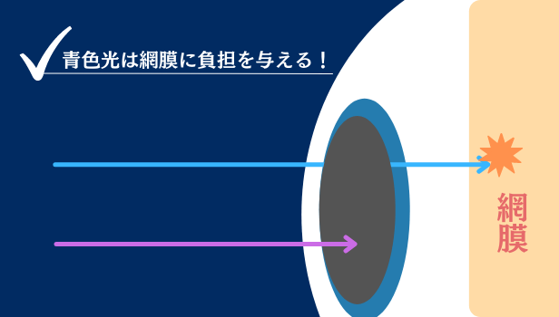 ブルーライトが網膜に与える影響