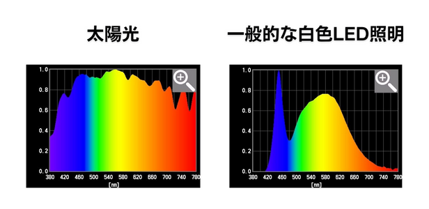 太陽光と一般的な白色LED照明の色別の波長の比較